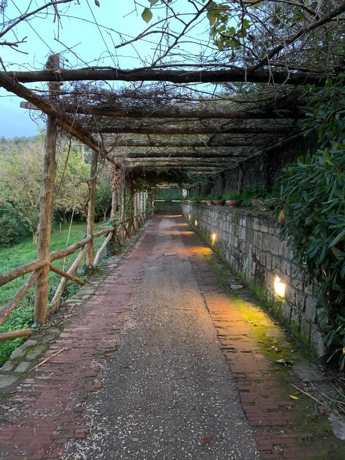 Bed and Breakfast Sunrise Luxury Experience Piano di Sorrento Exterior foto